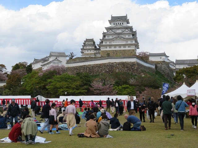 【四国最多】道後温泉風●26店舗を徹底解説