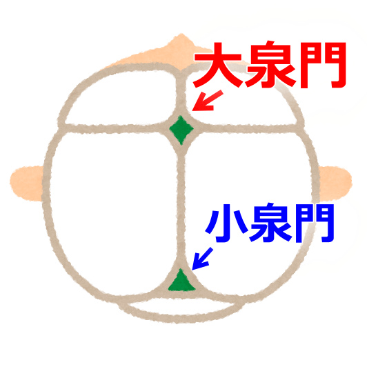 整形外科学単語カードQuizlet