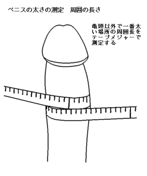 チ♂ポが希少な世界(1) - まろん☆まろん