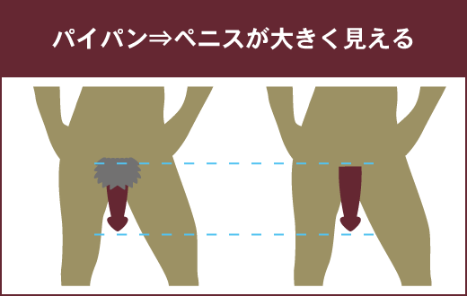 男がパイパンになるメリットとは？自分に合ったやり方でパイチンを手に入れよう！ | VOLSTANISH