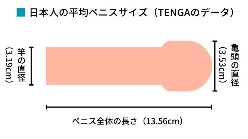 巨根とは憧れなのか悩みの種か】巨根やデカチンと呼ばれる基準やセックス時の体験談などを紹介｜風じゃマガジン