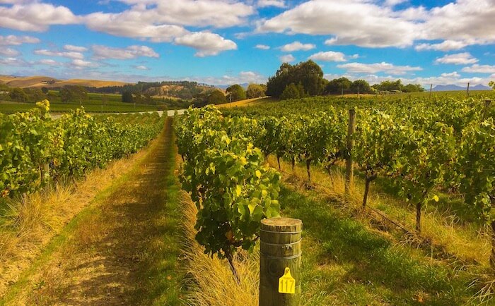 コーヒーのテロワールとは？土壌・標高・気候が風味を左右する理由を解説chouette torréfacteur laboratoire
