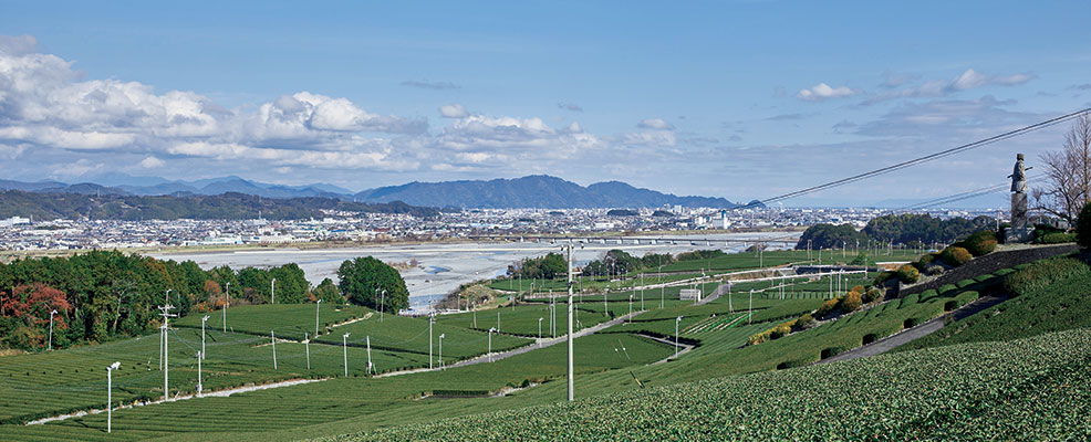 大井川農業協同組合企業情報しずおか就職net