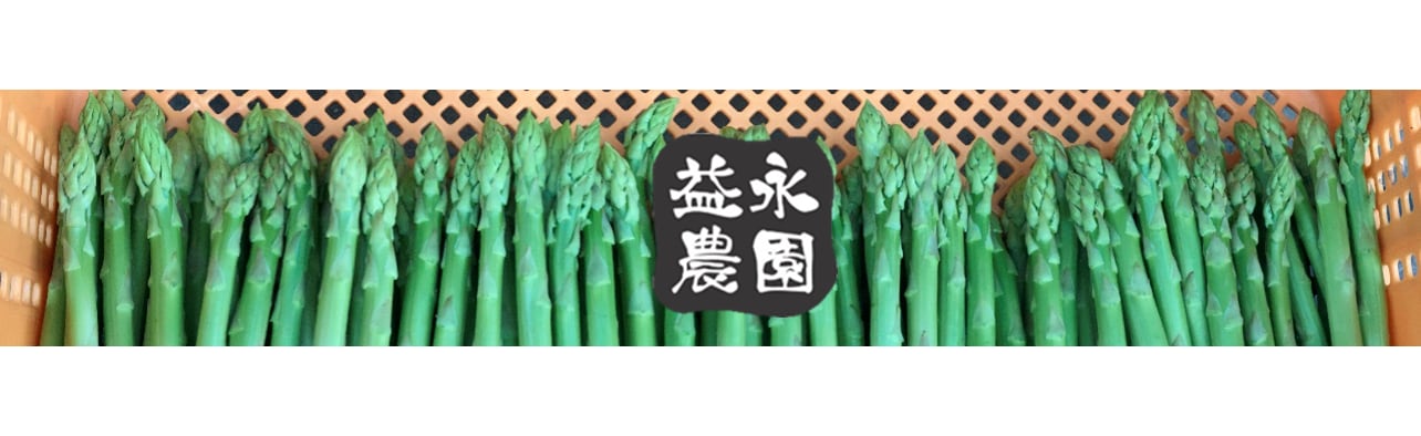 朝倉 SHERRY CASK FINISH シェリーカスクフィニッシュ 500ml 篠崎 九州酒市場