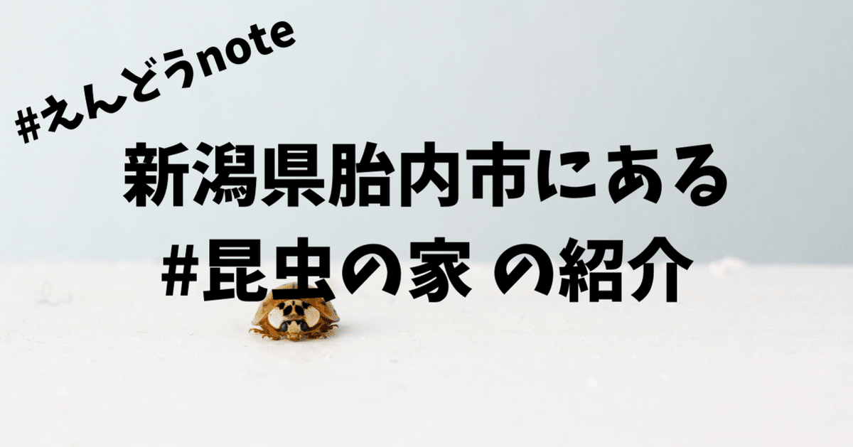 完成見学会開催～IN 胎内市あかね町～ - 家造りに熱い情熱をもったblog