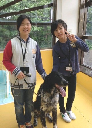 ペットショップの店員になるには？資格や仕事を解説専門学校名古屋ビジネス・アカデミ