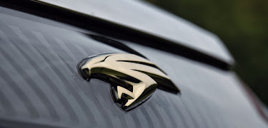 抽象的な羽のエンブレムロゴPremiumベクトル素材