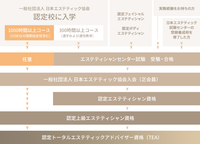 選べる多彩なコース | エステスクール タカラ・インターナショナル エステティック