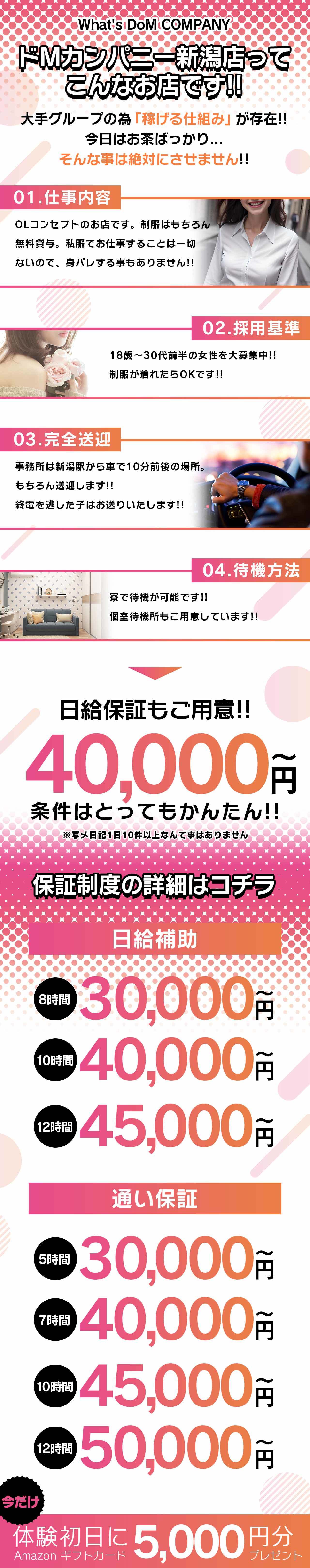 ドMバスターズ新潟店の口コミ！風俗のプロが評判を解説！【2024年最新情報】 | Onenight-Story[ワンナイトストーリー]