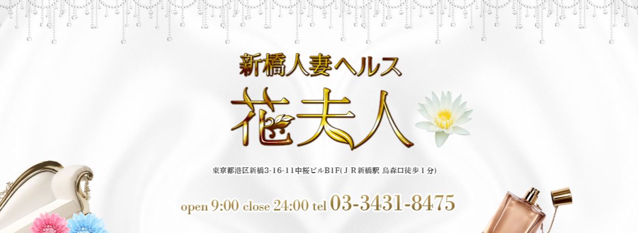 体験レポ ニュー新橋ビルの風俗