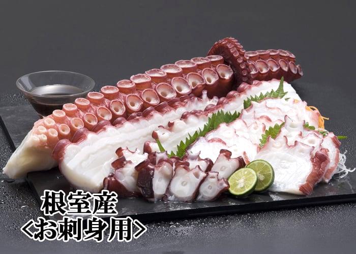 最北の海鮮市場へようこそ！最北の海鮮市場