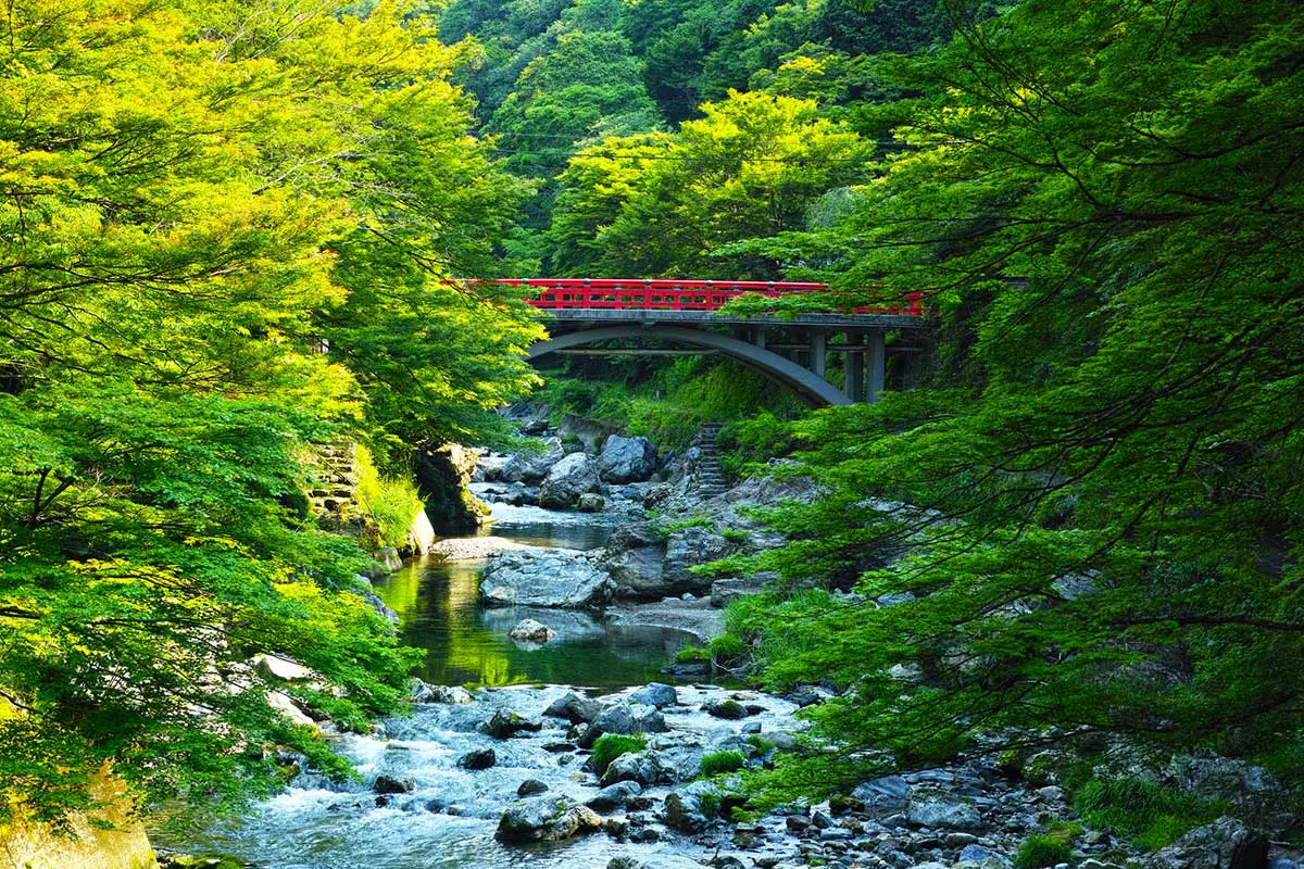 京都】2024年夏休みにおすすめの涼しい観光スポット＆避暑地6選 | いこーよとりっぷ