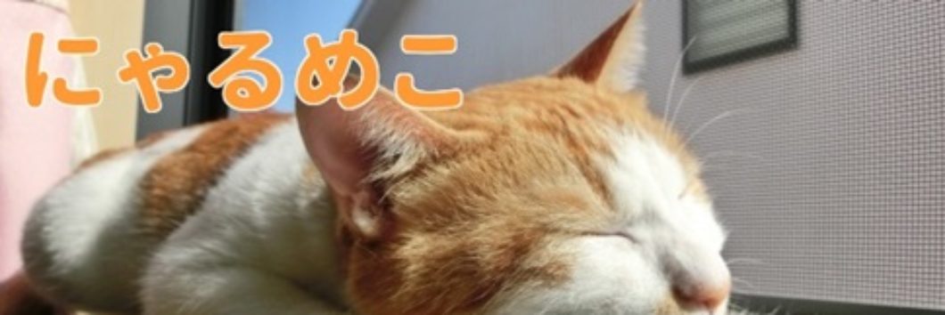 天野一菜のインスタは？櫻井翔とのツーショットや匂わせ画像はある？情報mix juice