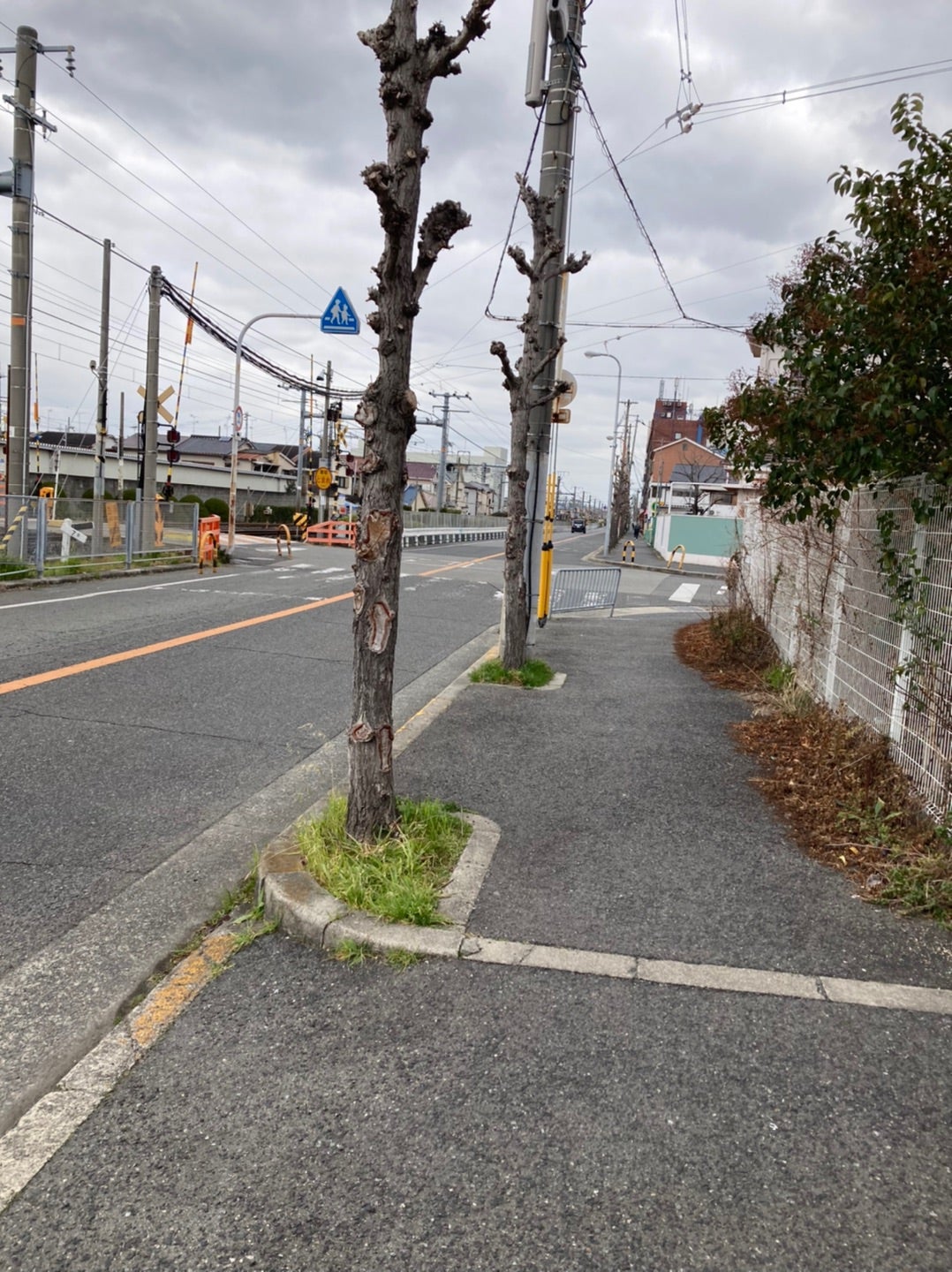 信太山新地の行き方と料金や遊び方・おすすめのお店を体験談から解説