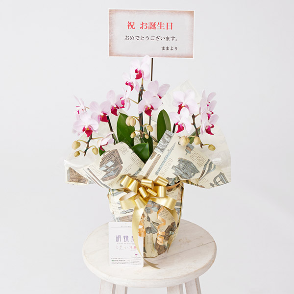 商品一覧開店祝い、開業祝いに贈る店内装飾花ギフト・インテリア・雑貨のECサイト 通信販売