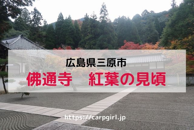 佛通寺』広島県屈指の紅葉の名所じゃのう 広島県三原市あんきにしとるかの