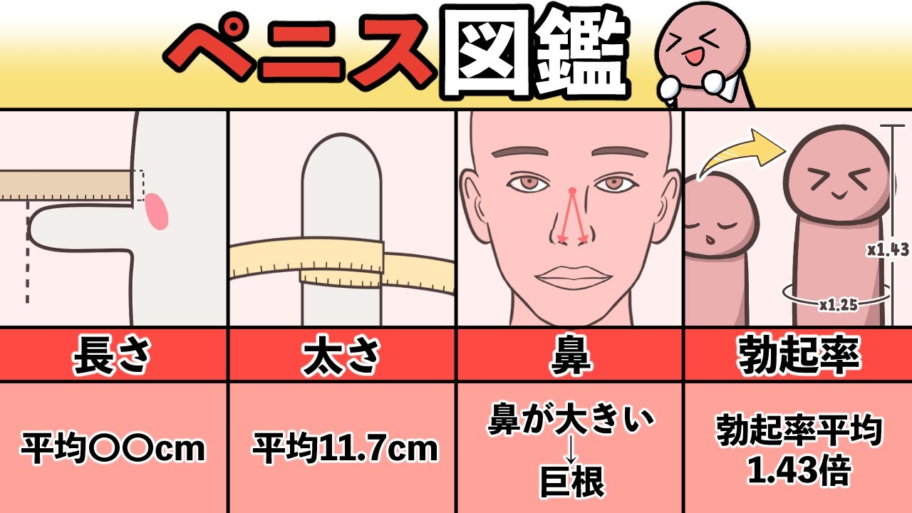 日本人の平均ペニスサイズが明らかに！ | TENGA