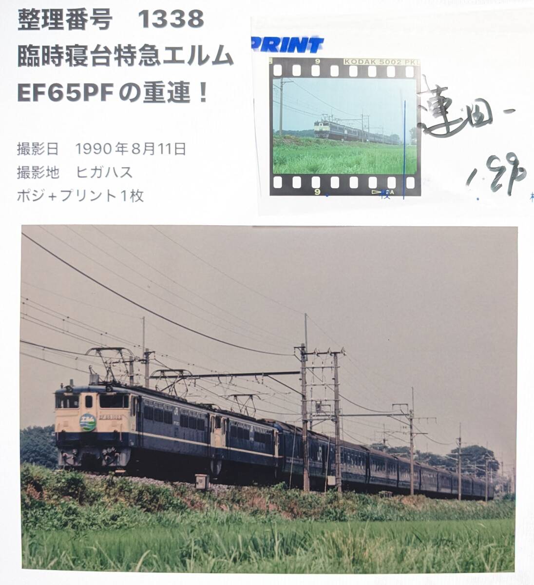 荒野行動でのペニンシュラ大脱走の謎ポジ発見！TikTok