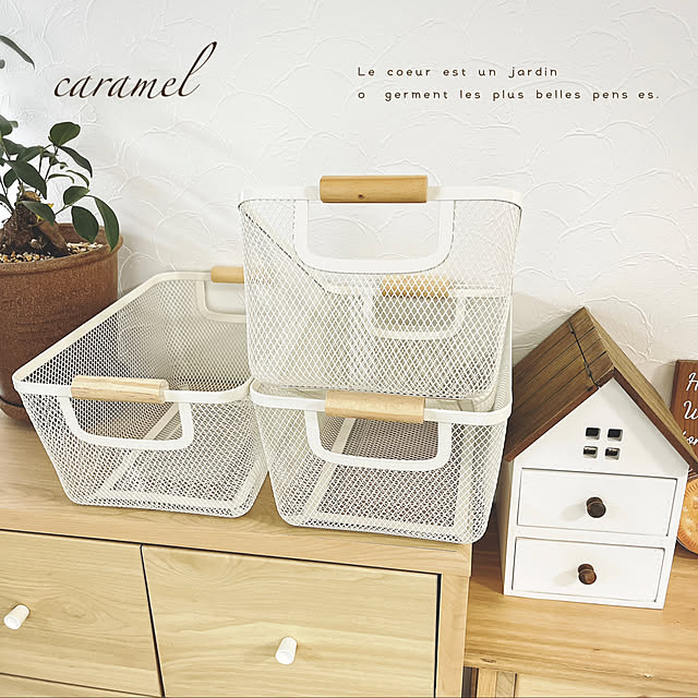 セリア・キャンドゥ 100均カゴはくすみ色がカワイイ！ 買うべき最新アイテムをLDKが紹介
