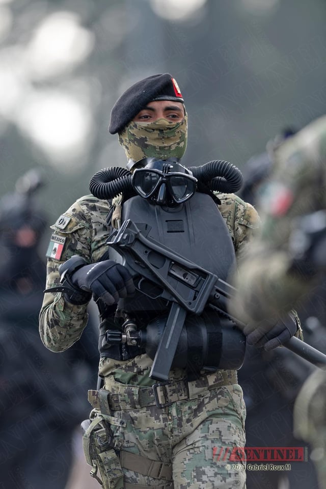 メキシコ海兵隊、どの軍隊よりも優れた迷彩3895x2000: r MilitaryPorn