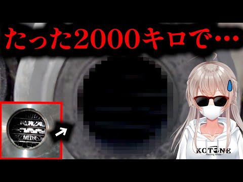 メガグロスミニ2開封動画！購入品紹介