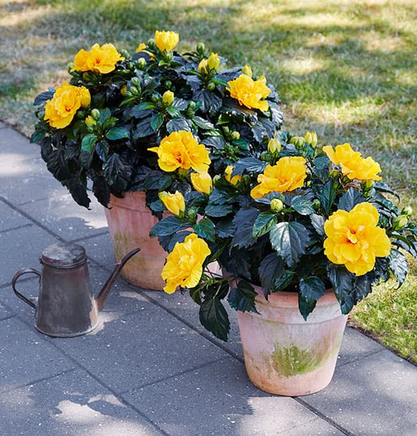 至高のハイファンタジーRPG『ヴァルキリーコネクト』メインストーリーに新章「救済の黙示録」を追加！新キャラクター「謀略の叛逆者ヴァルトゥス」、「幽魂の叛逆者 ゲフィオン」登場株式会社エイチームホールディングスのプレスリリース