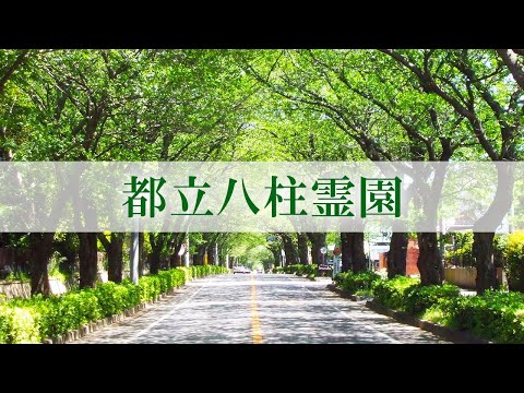 株式会社 はぎの家石材店Matsudo-shi Chiba