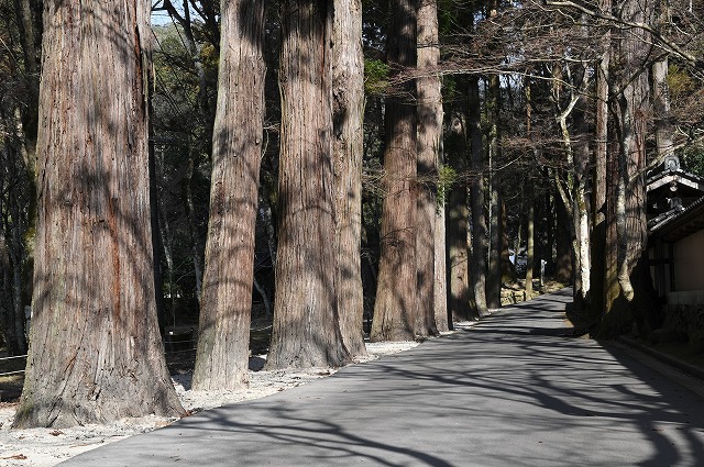 2024年紅葉シーズンの情報について臨済宗佛通寺派大本山 佛通寺