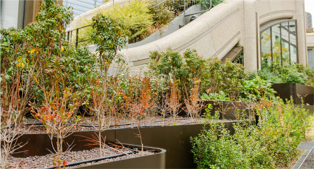 退屈な建築で都市を満たすことがもたらす世界的危機：トーマス・ヘザウィックWIRED.jp