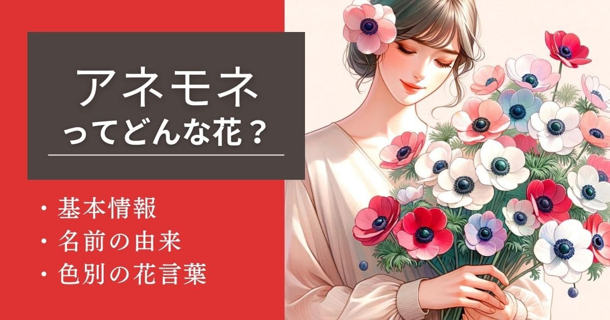 アネモネの花言葉 - 福花園種苗株式会社