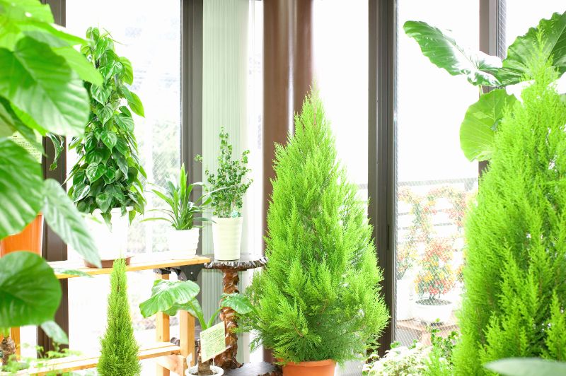 Amazon.co.jp: ドラゴン'クエスト AM 収納ボックス ゴーレム&ゴールドマン 約20cmゴールドマン: ホビ