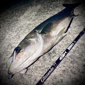 ぼらすたちゃんねるvol.10🍺ビアピースボートセンターとうきょうのスタッフブログ