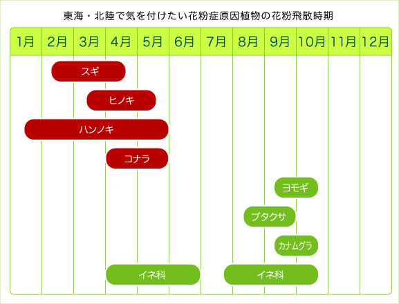 花粉が気管支まで？ これから注意したい秋の花粉、スギやヒノキとの違いとは - ウェザーニュース