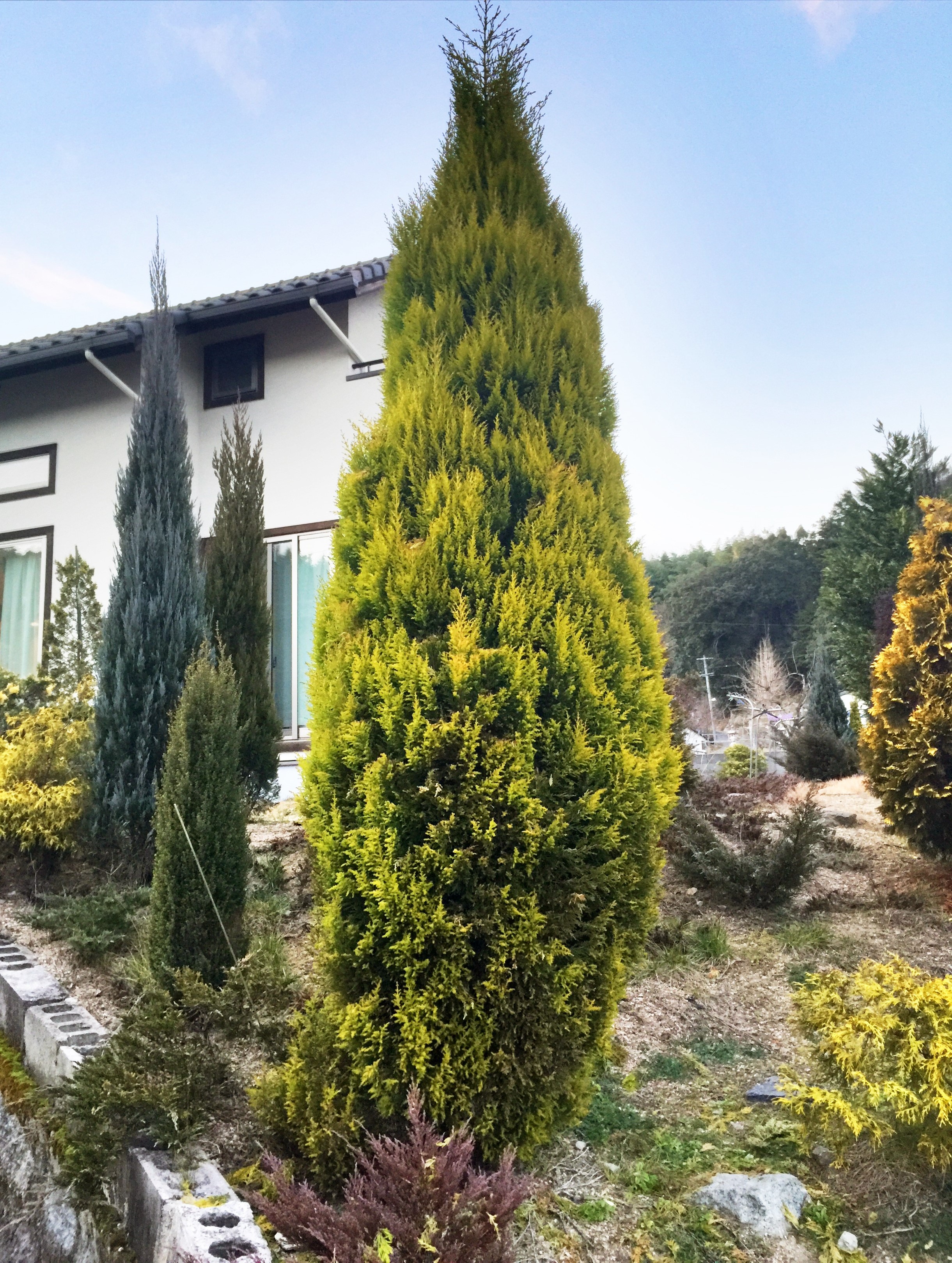 Imágenes de ゴールドクエスト: descubre bancos de fotos, ilustraciones, vectores yvídeos de 17Adobe Stock