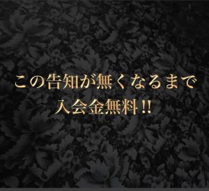 千葉のハプニングバーおすすめを厳選紹介【注意点や体験談・口コミも】 | TEAMO【ティアモ】