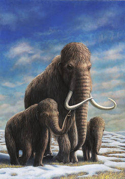 岡山茂樹風景写真館since1999 GALLERY & DIARY