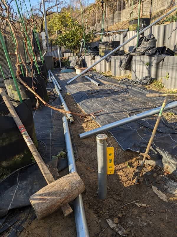 ぶどう棚 単管パイプDIY工作 LABO ラボ ジョイント tankan.tv単管パイプのDIYや組み方の学習なら単管DIYランド