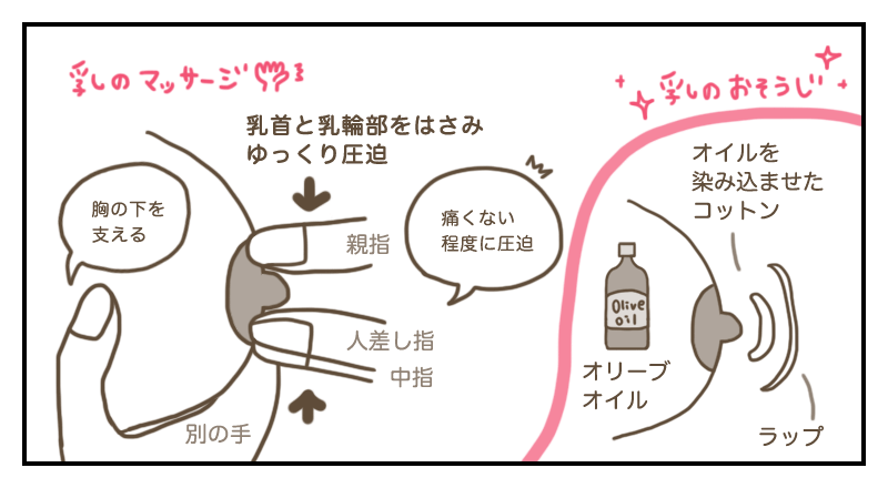 助産師監修】妊娠中の母乳マッサージはいつから？おっぱいマッサージのやり方と効果！ | ままのて