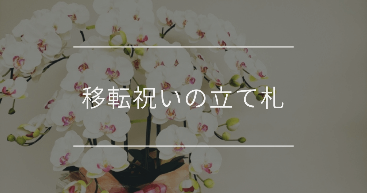 開店祝いのメッセージの書き方と文例・例文・テンプレートの紹介胡蝶蘭の通販なら幸福の胡蝶蘭屋さん