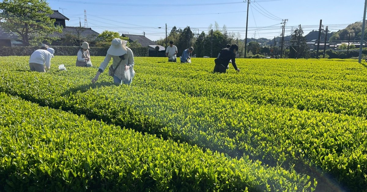 2025年最新 大井川農業協同組合 茶果菜保育園とよだの保育士求人 正職員ジョブメドレ