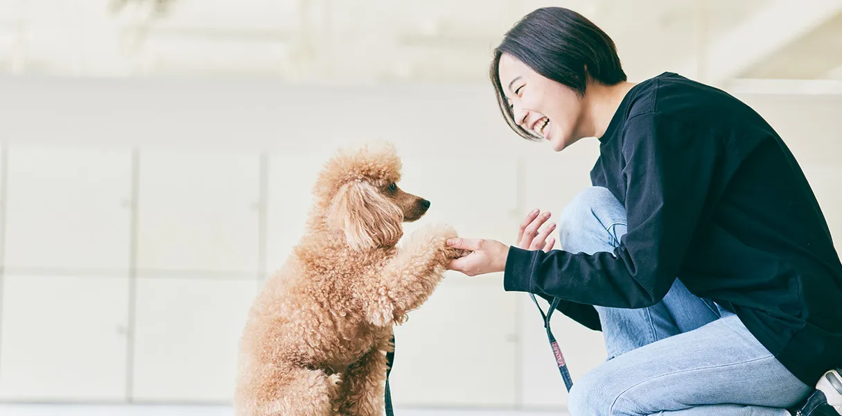 ペットショップの仕事・求人 - 東京都 江戸川区求人ボックス