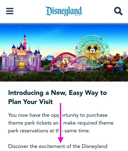 ディズニーチケットを安く買う方法を徹底比較！楽天や金券ショップ、福利厚生はどれがお得？ 2025年- ビギナーズ