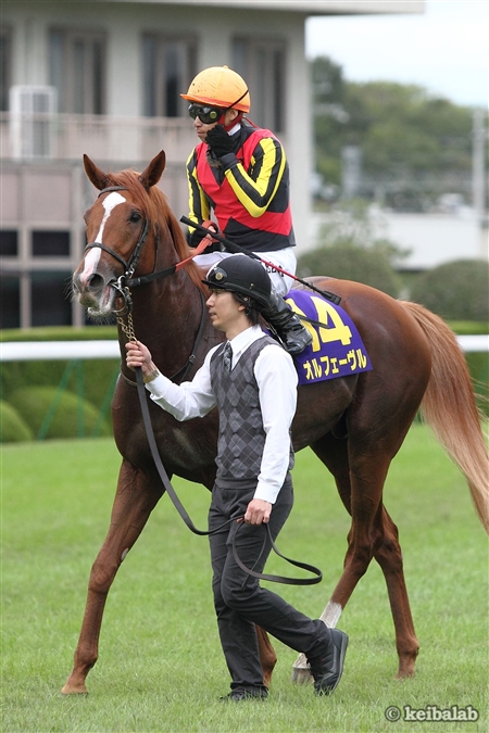 とある競馬の金細工師』 ～ 凱旋門賞 ―Merci beaucoup.Orfevre―うみねこ博物館