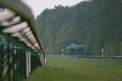 4 9 直線内ラチ沿いを一閃！ ヤマニンループ２勝目ヤマニン倶楽部