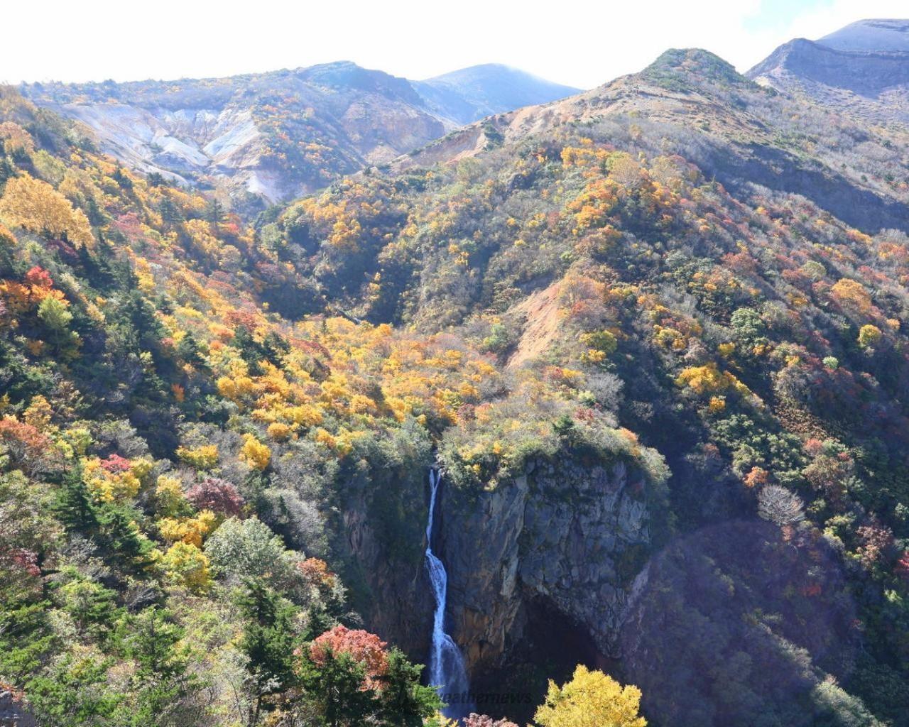 駒草平展望台 蔵王町
