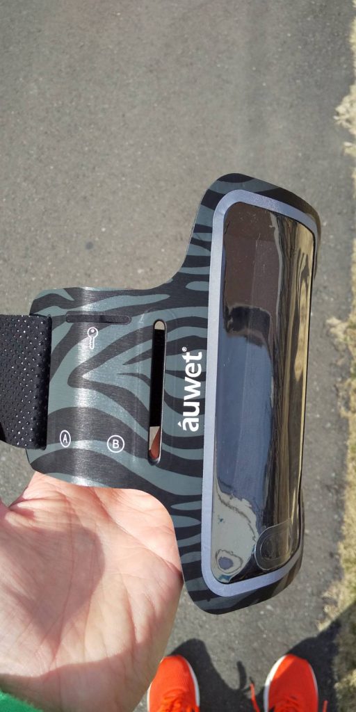 ダイソーでアームバンドを買う - 自分方位研究所