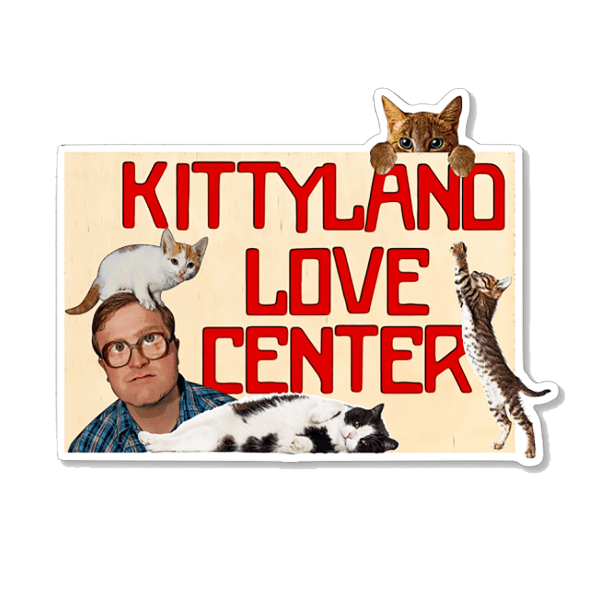 Is kittyland.ws Safe? kittyland.ws