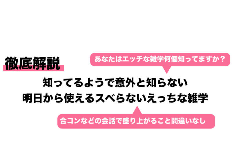 ピロートークのひとネタに!? 大人の性愛雑学①｜教養(!?)としての性 |