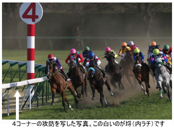 サンライズアース２着逃げ粘る「内ラチ沿いをしっかり回りたかった」池添騎手悔やむ 京都大賞典 - 競馬 : 日刊スポーツ