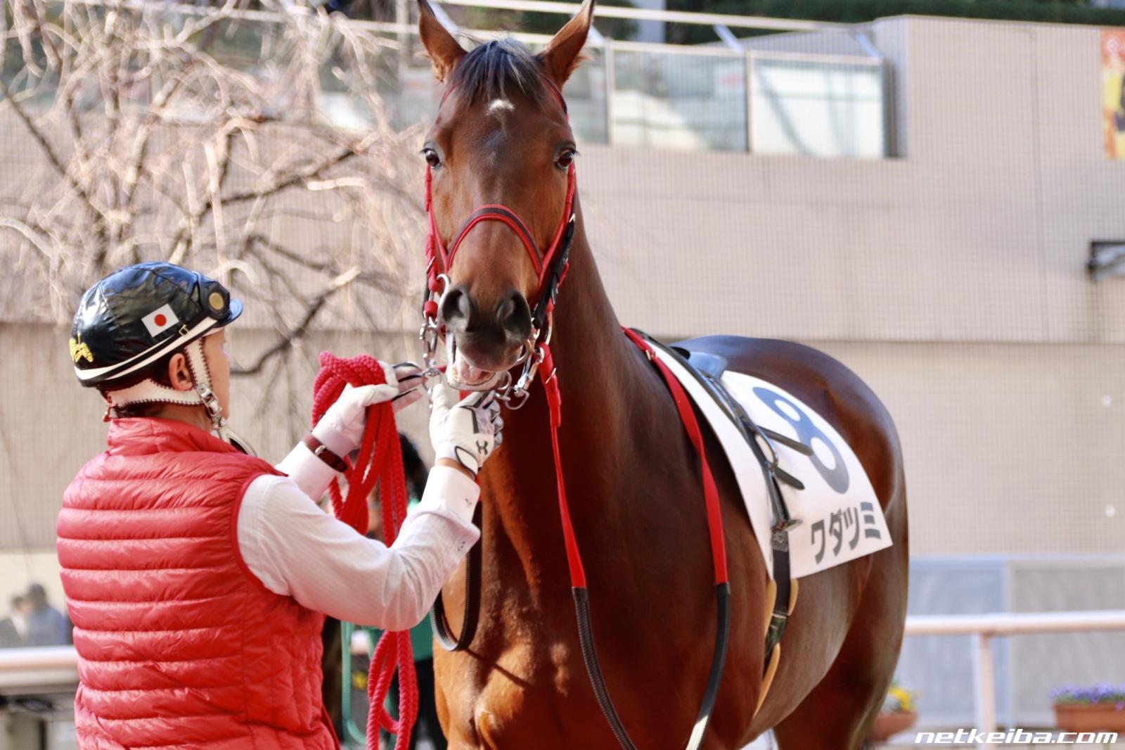 モンスト ワタツミ 獣神化 の評価と適正のわくわくの実！ゲームエイト